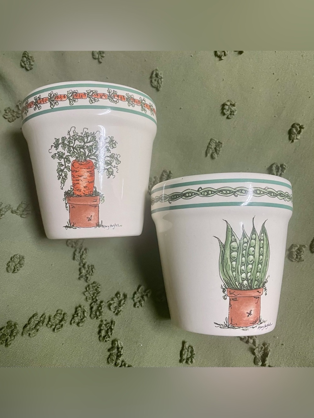 Carrot & pea herb planters